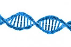 DNA streng